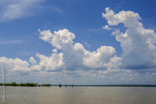 Blue partly cloudy sky with trees and   branches in the water in Sardis Lake at Hurricane Landing Campground near Oxford, Mississippi.
