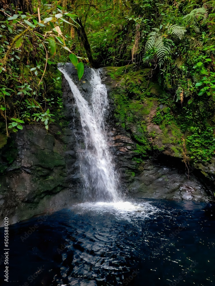 Fototapeta premium Tear of the ocean