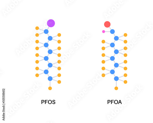 Endocrine disruptors formula