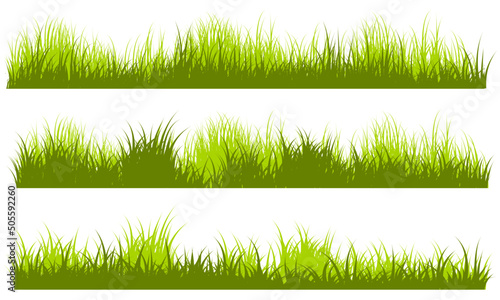meadow grass, grass layer