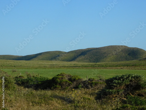 landscape of grassy mountains 