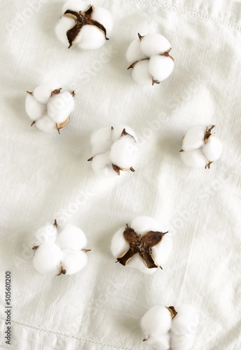 cotton flowers buds pattern on white linen texture background top view. Minimal floral card.Poster