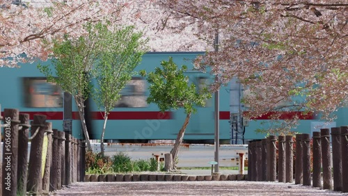 桜と電車の見える風景　4K
 photo