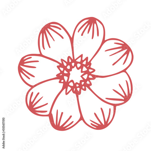 flower illustration isolated on white background