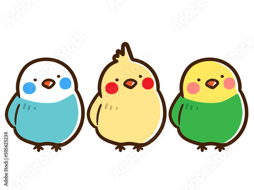 かわいい三匹のインコが並んだ手書き風イラスト