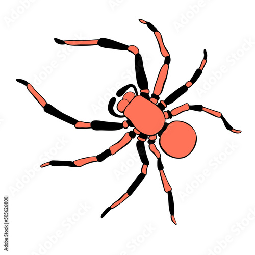 Vector outline tarantum spider icon. Contour clip art of theme of insects, animals, halloween, naturalness of nature photo