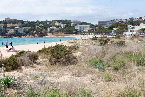 Natural and protected dunes on a beach on the Costa Brava, northern Catalonia, Spain.