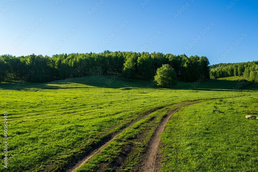 Summer landscape with green grass, roads and clouds. Rural roads. Sunset over a dirt road.