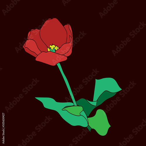 Blossoming tulip.Pattern.Vector.image on a white and color background.