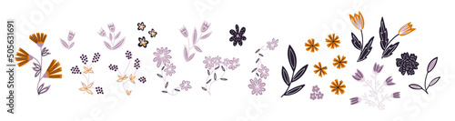 Collection of hand drawn natural elements of flowers and plants