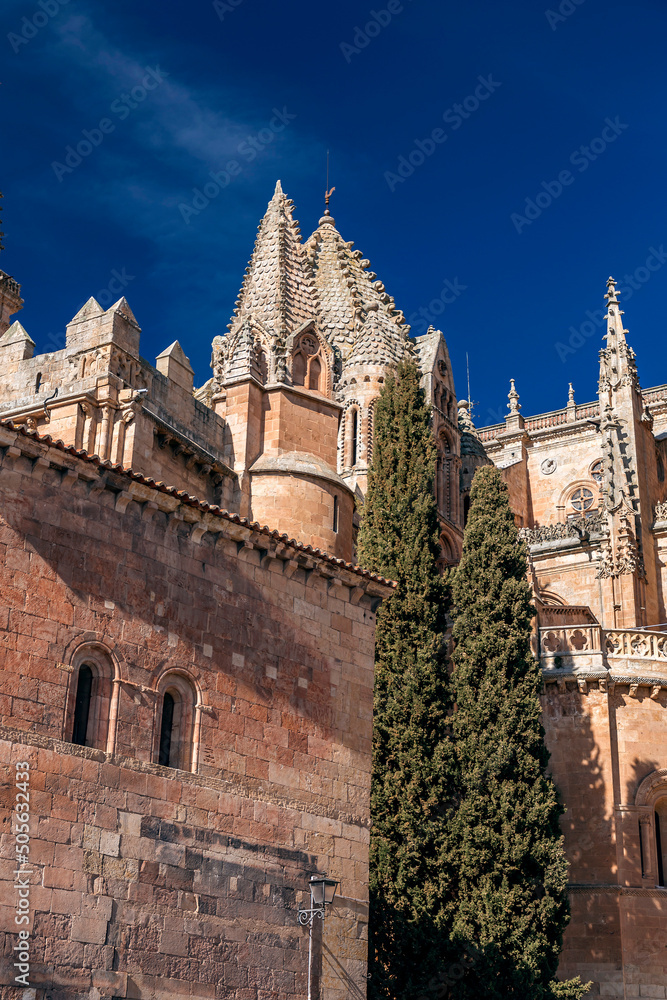 Detail from the New Cathedral of Salamanca, Spain