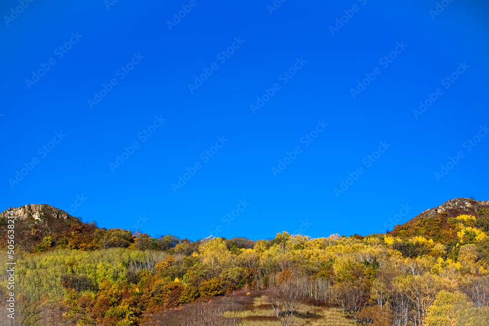 Late autumn scenery of Bashang grassland pasture in Inner Mongolia Autonomous Region, China