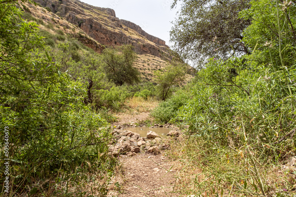 En Arbel Stream flows under Mount Arbel, located on the coast of Lake Kinneret - the Sea of Galilee, near the city of Tiberias, in northern Israel En Arbel Stream flows under Mount Arbel, located on the coast of Lake Kinneret - the Sea of Galilee, near the city of Tiberias, in northern Israel