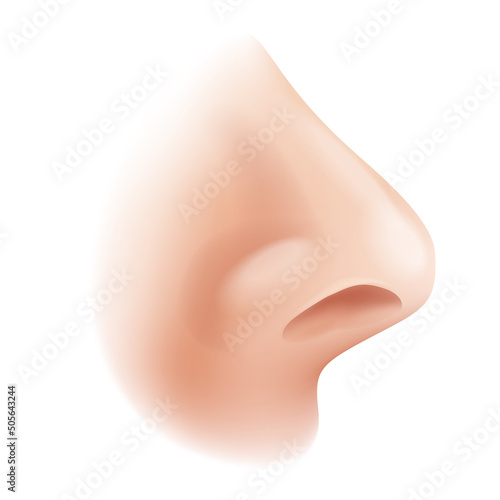 Realistic 3D nose - for nasal drops or rhinoplasty