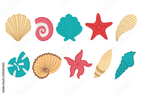 Seashell-set