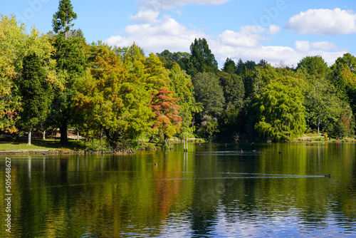 Start of autumn at park by lake