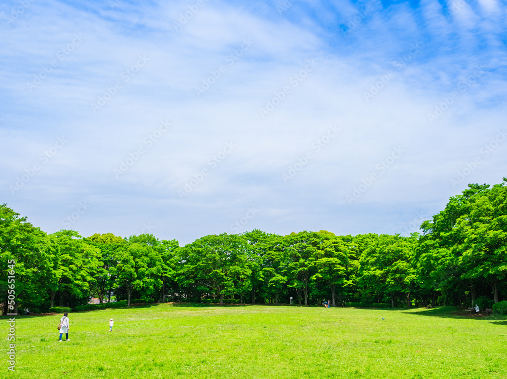 青空と新緑の公園