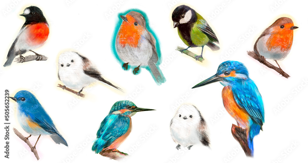かわいい野鳥たちのセット手描きイラスト