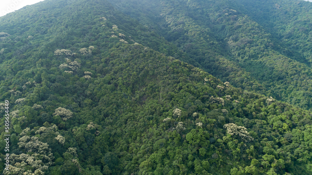 Aerial view of landscape in summer tropical forest