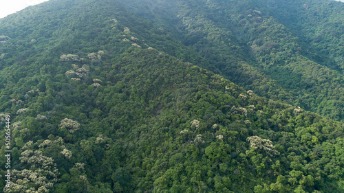 Aerial view of landscape in summer tropical forest