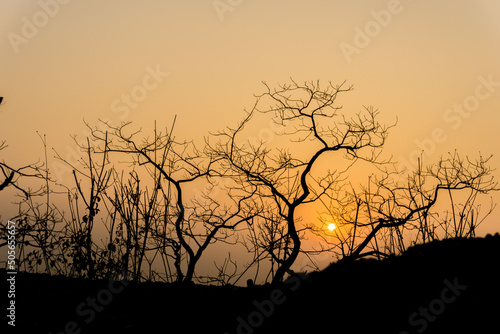 Dehradun, uttarakhand India. Silhouette of trees without leaves on a hill top surrounded by mountains at the golden hour sunset.
