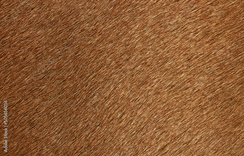 Brown wool for the background