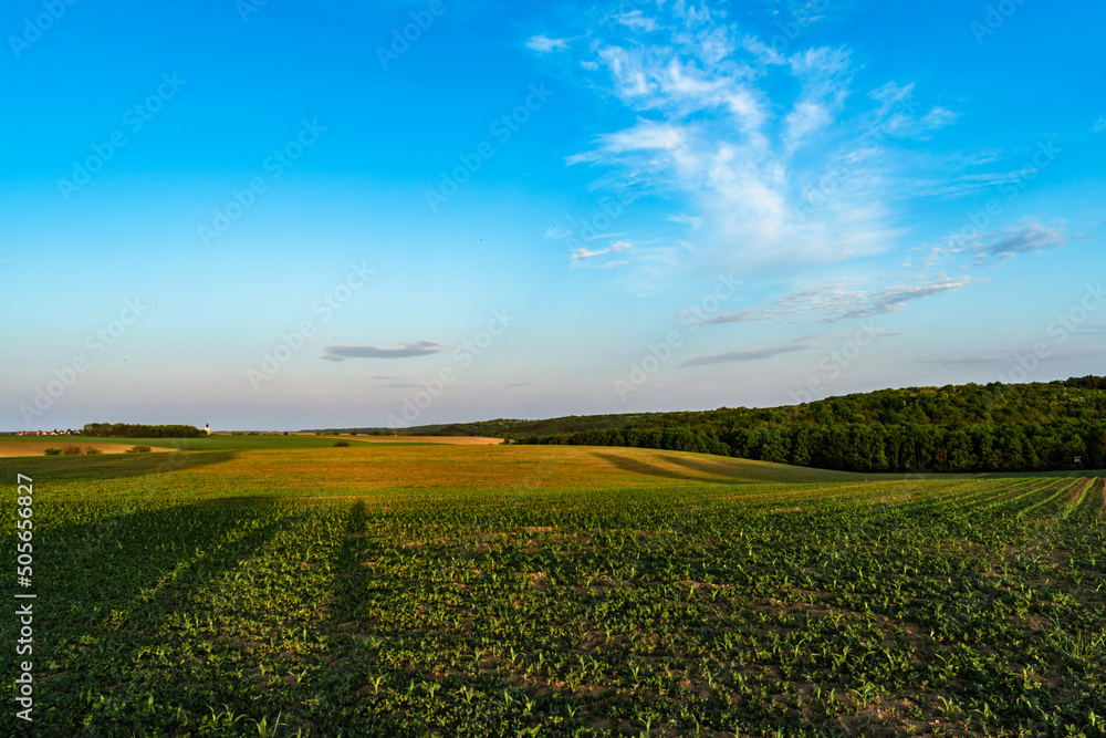 Meadow in the hungarian countryside in spring Meadow in the hungarian countryside in spring