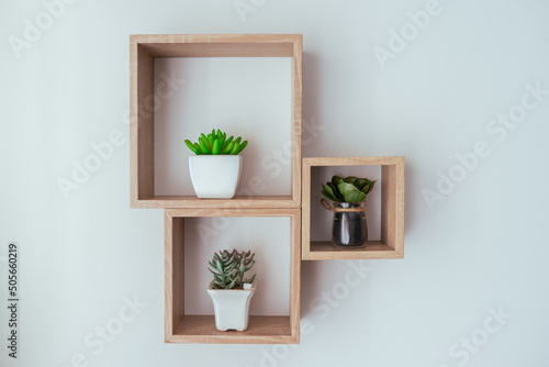 Plants over a shelf