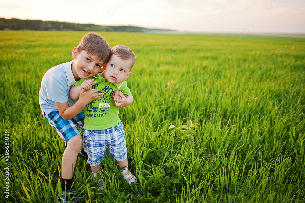 Two brothers in green grass field. Two brothers in green grass field.
