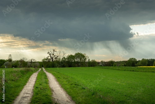 Dark rain cloud over the green field by the road