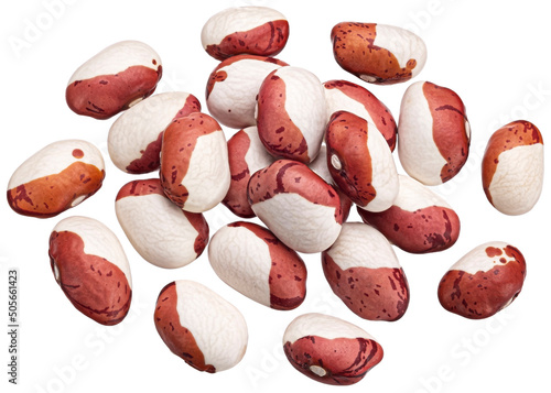 Anasazi beans isolated on white background with clipping path photo