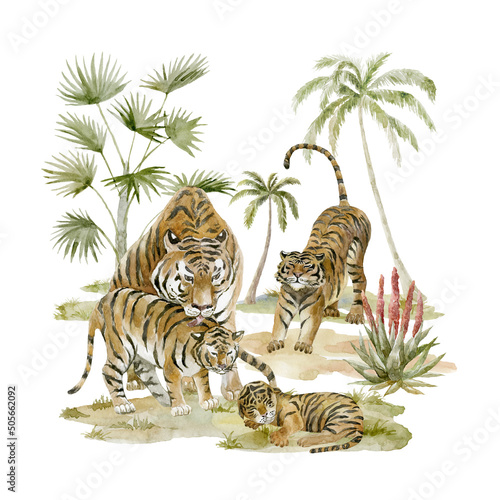 Tiger Family on white background. Wild animal.