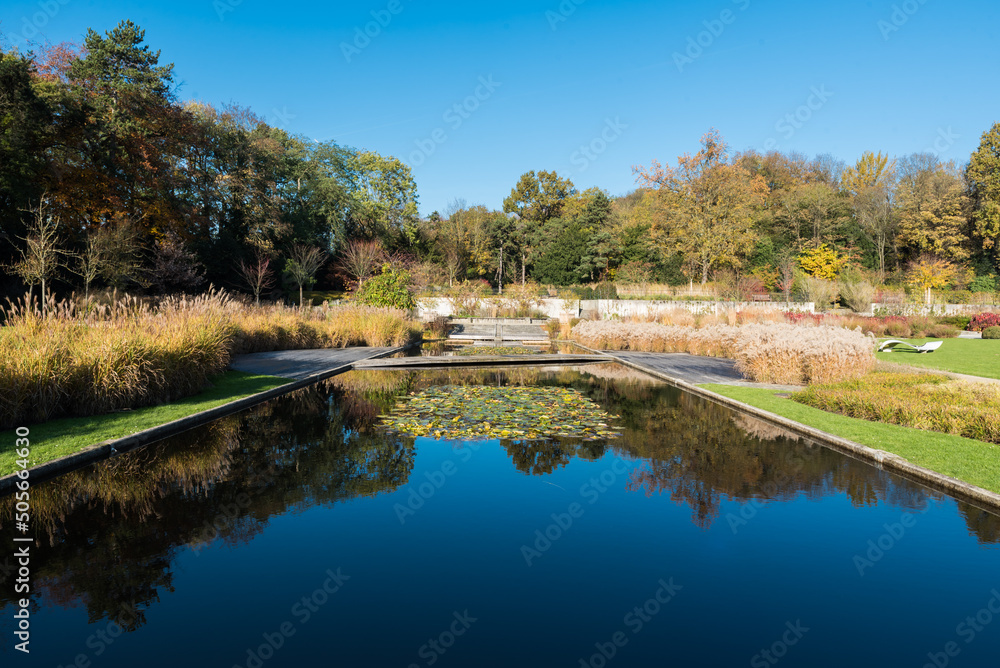 Reflections plants and reeds with autumn colors in the pond of a city park