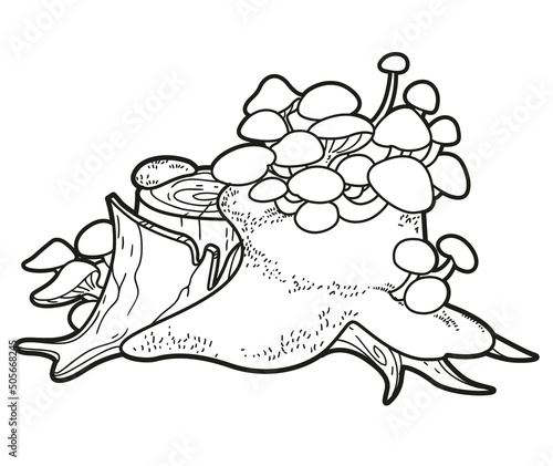Big low stump with parasitic overgrowth toadstools and moss linear drawing for coloring isolated on white background