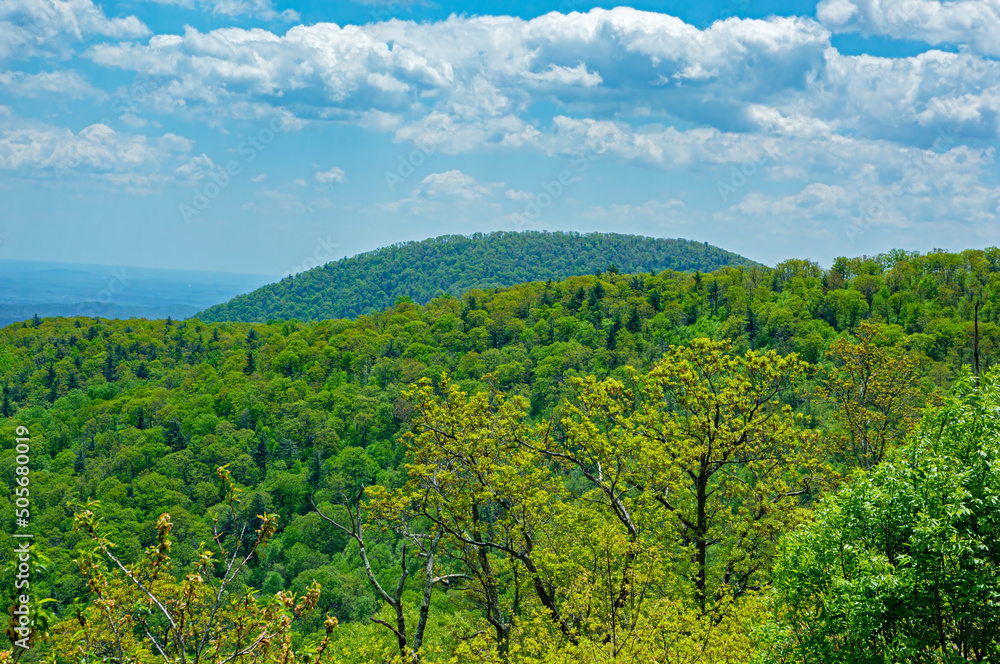 Landscape at a US National Park in Virginia USA