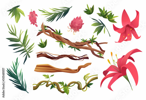 Liana or vine winding branches cartoon vector illustration. Jungle tropical climbing plants.