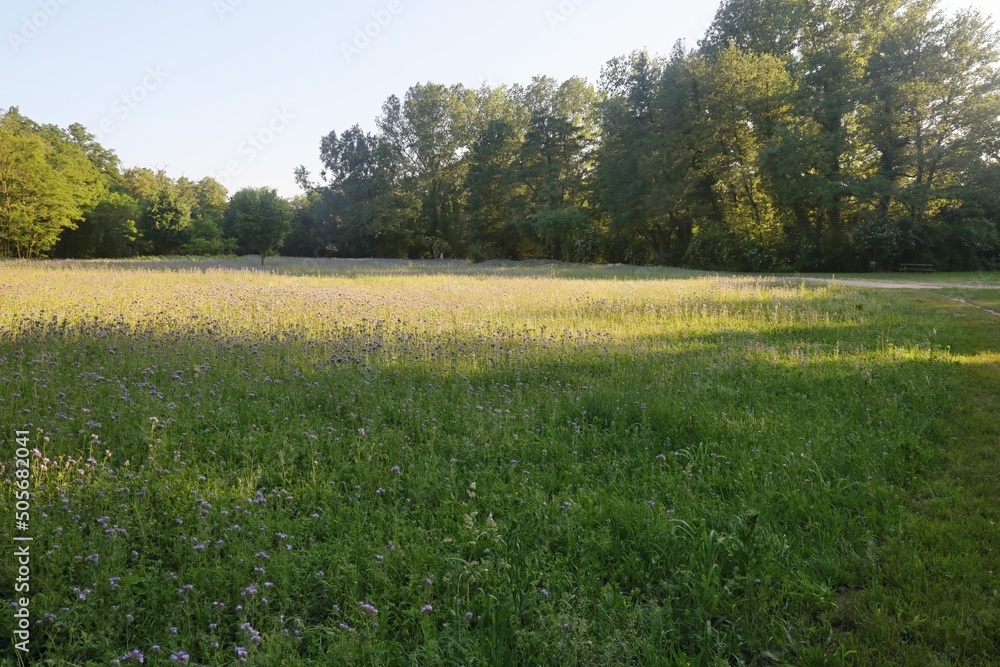 Fotografie Parco della Vernavola Pavia