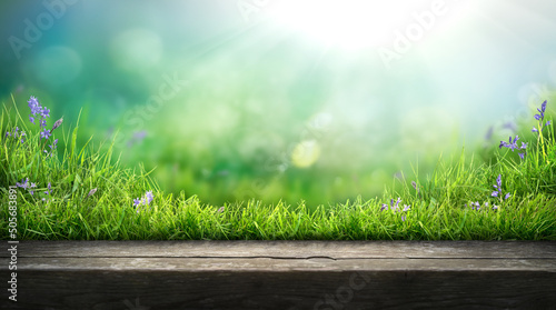 Obraz na płótnie A wooden table product display with a fresh spring garden background of green grass and blurred foliage with strong sunlight. w salonie