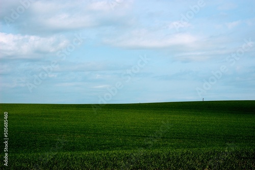 green field and sky