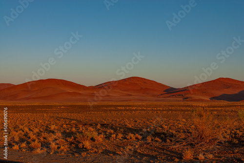 The sinuous dunes of Sossusvlei in Namibia