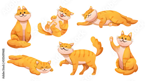Photography Set of cute cat in different poses cartoon illustration