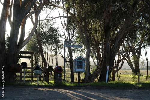 people walking in park