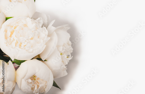 Bouquet of white peonies on a white background.