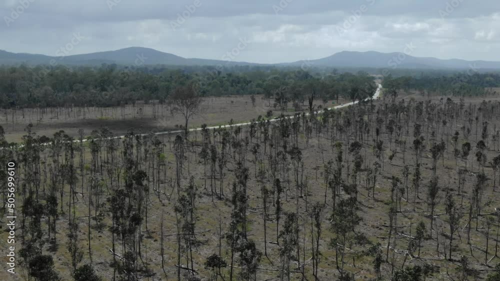 Drone flying over dry trees at Bajool in Queensland, Australia. Aerial forward Drone flying over dry trees at Bajool in Queensland, Australia. Aerial forward