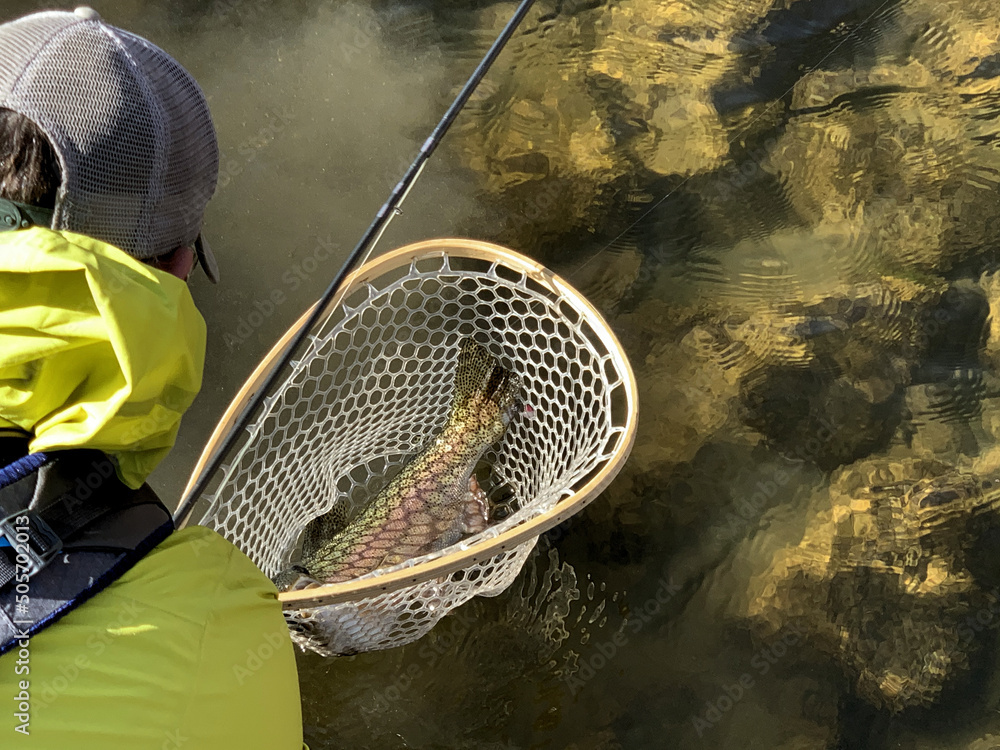 Ταπετσαρία Releasing Rainbow Trout, Fly Fishing On A River In Colorado, United States