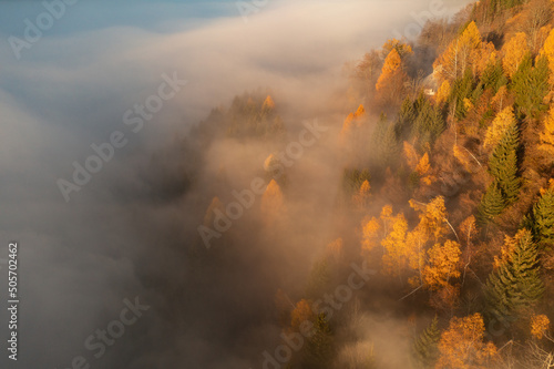 Sunrise in an autumn forest. Fog and mist in the early morning created a beautiful atmosphere-