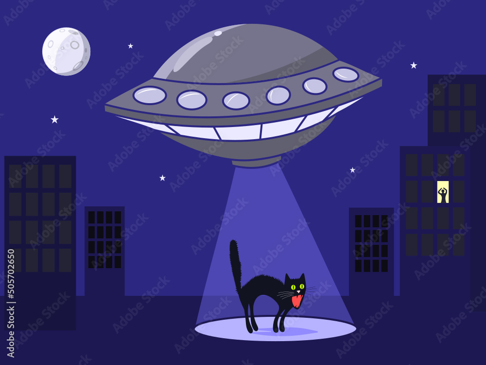 Φωτογραφία Aliens abduct a black cat at night