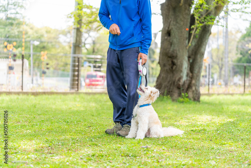 マルチーズ ドッグトレーニング 小型犬 しつけ かわいい 訓練
