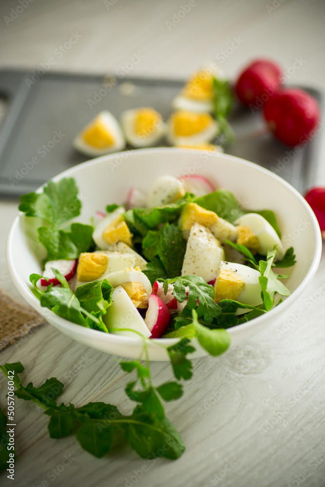 Fresh spring salad with fresh lettuce leaves, radishes, boiled eggs in a bowl Fresh spring salad with fresh lettuce leaves, radishes, boiled eggs in a bowl