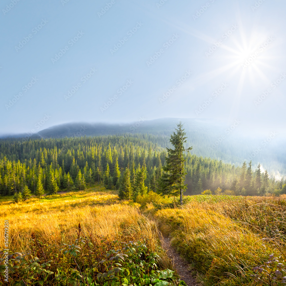 green mountain plateau at sunny day, natural travel background